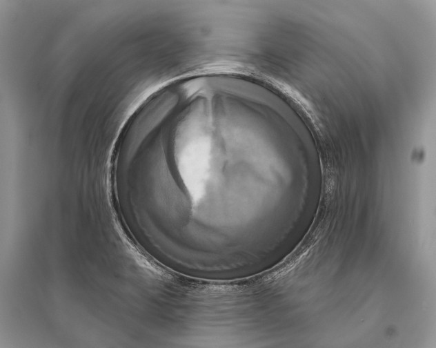 X0000094901423200712201124