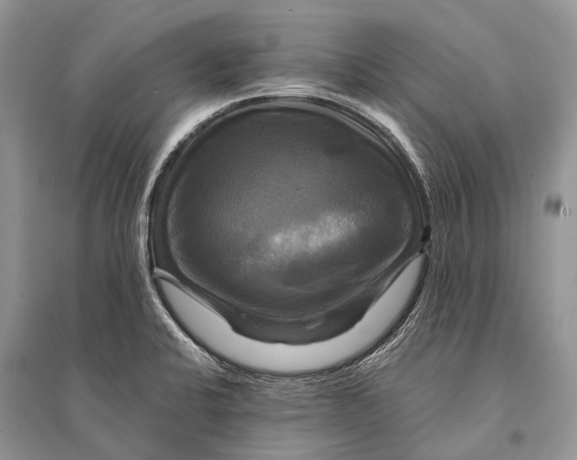 X0000094901424200712201124