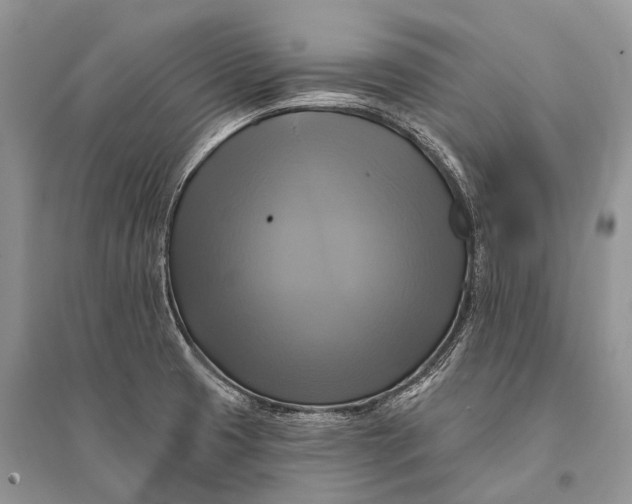 X0000094901425200712201124