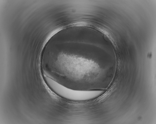 X0000094901426200712201124