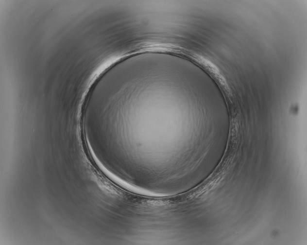 X0000094901427200712201124