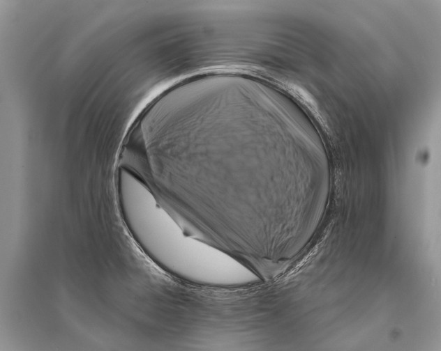 X0000094901428200712201124