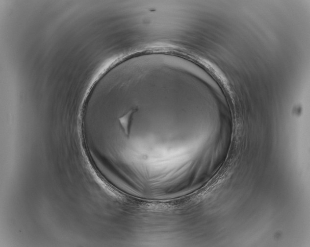 X0000094901429200712201124