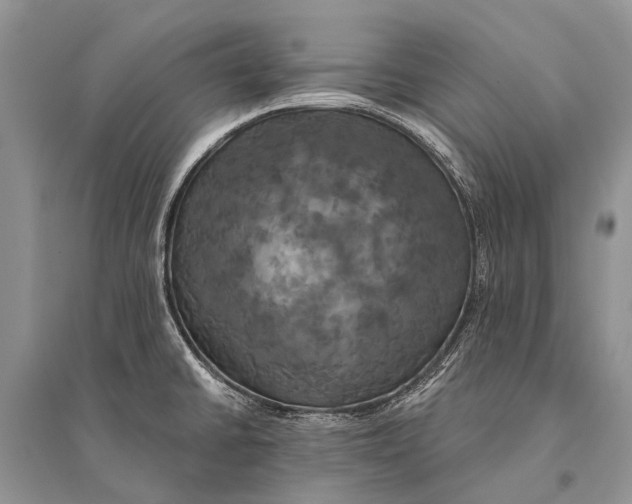 X0000094901430200712201124