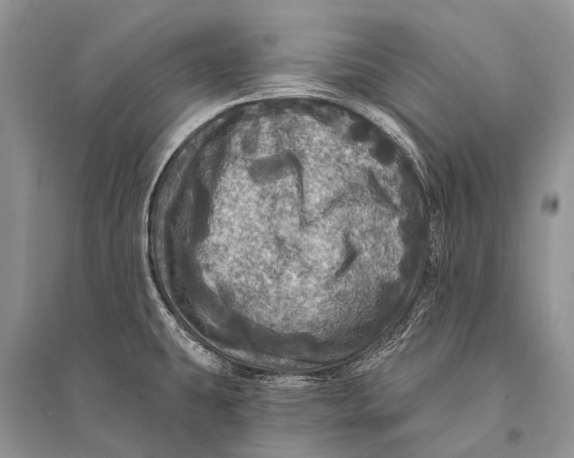 X0000094901431200712201124