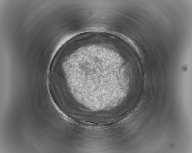 X0000094901432200712201124