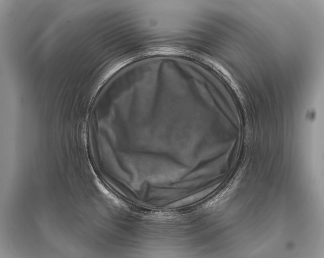 X0000094901433200712201124