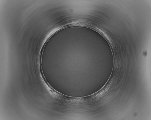 X0000094901434200712201124