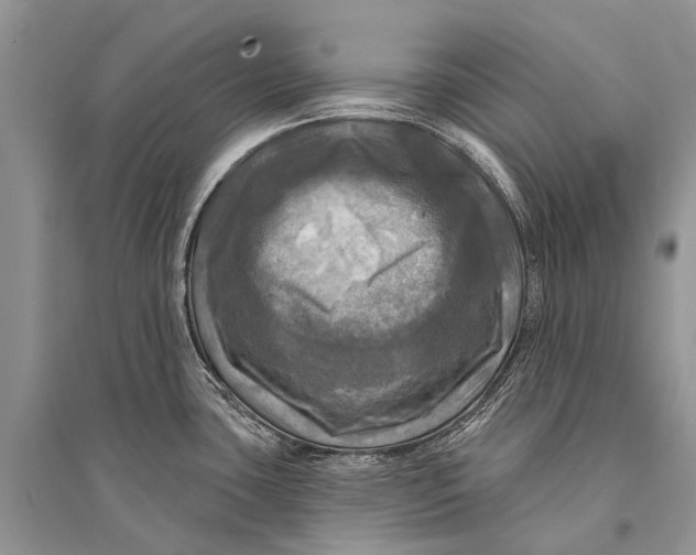 X0000094901435200712201124