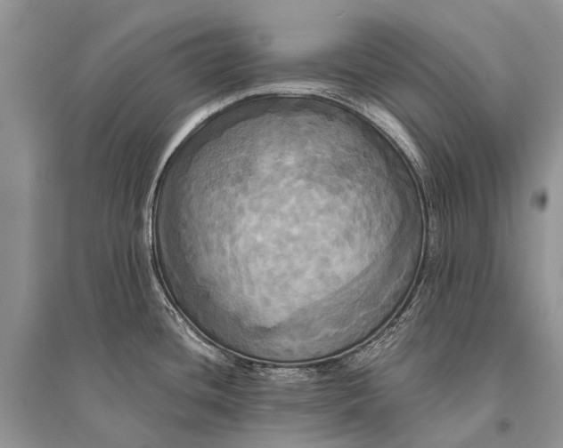 X0000094901436200712201124