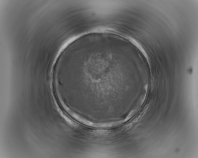 X0000094901437200712201124