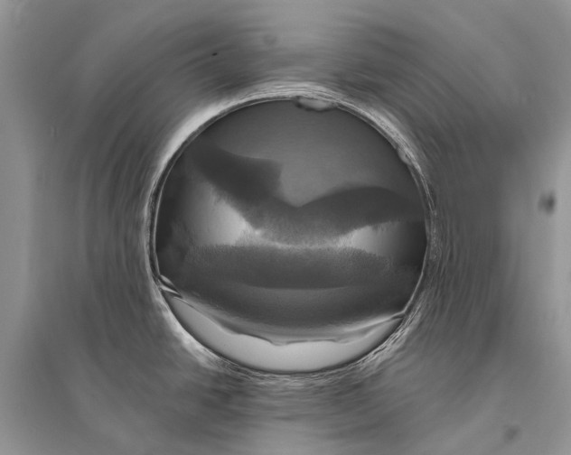 X0000094901438200712201124