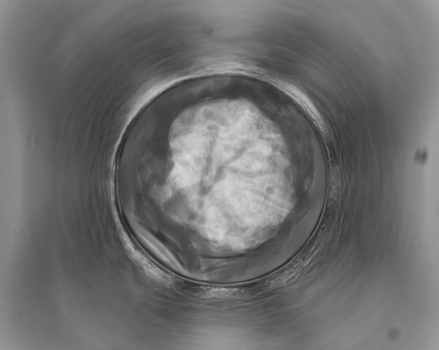 X0000094901439200712201124