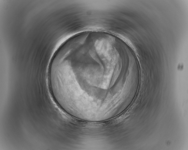 X0000094901440200712201124