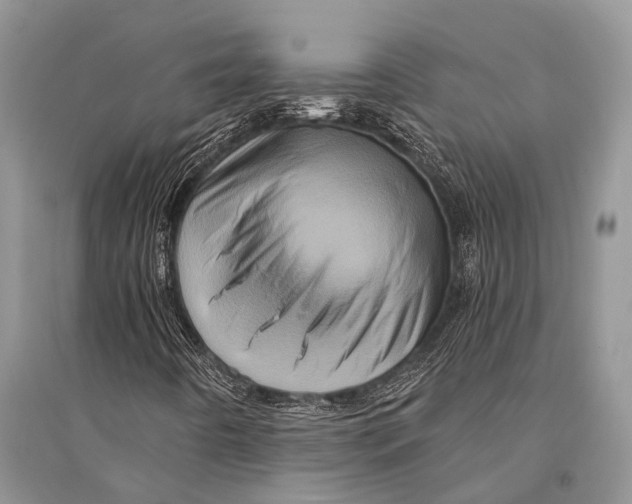 X0000094901442200712201123