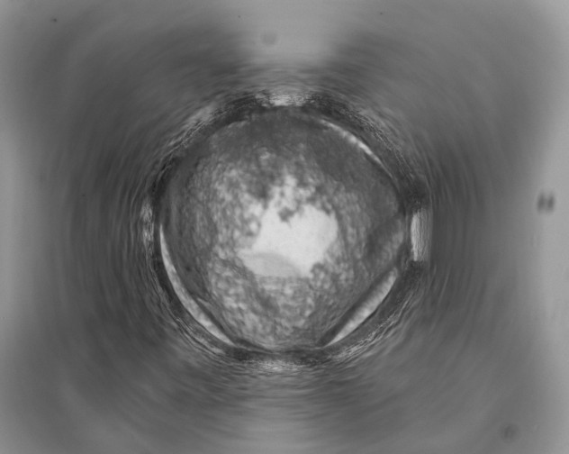 X0000094901443200712201123