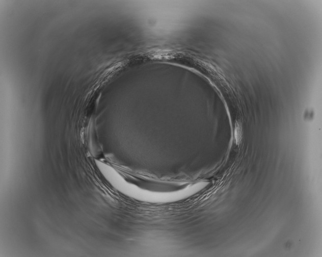 X0000094901444200712201123