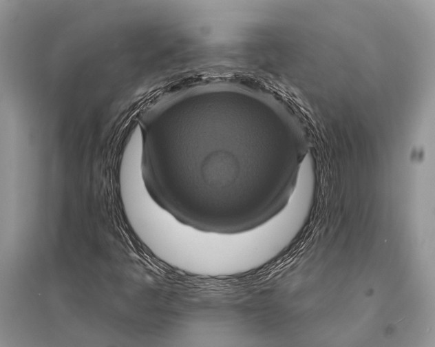 X0000094901445200712201123