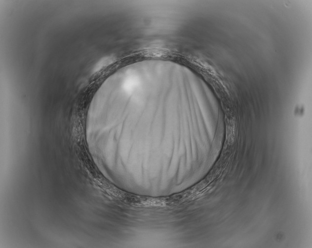 X0000094901446200712201123