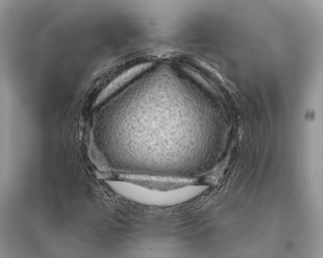 X0000094901447200712201123