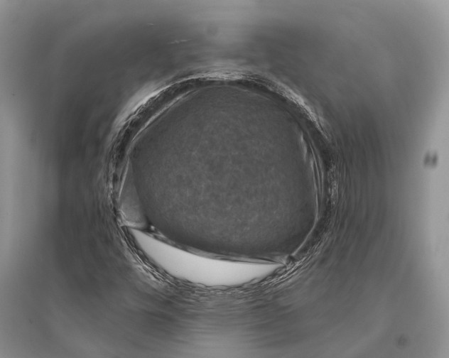 X0000094901448200712201123