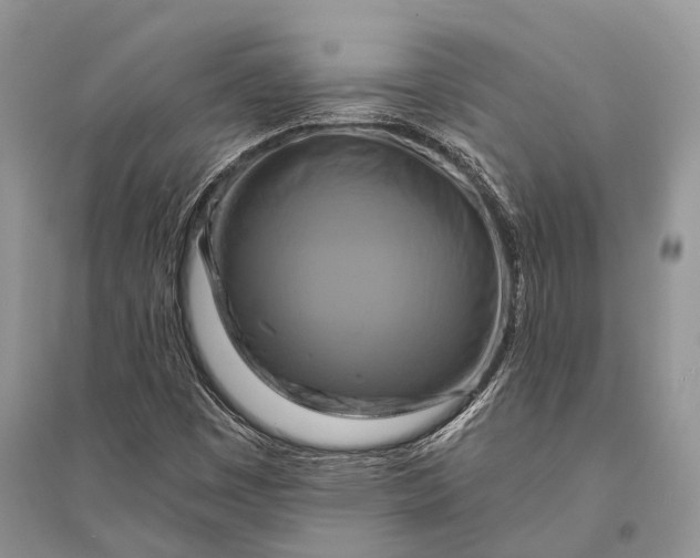 X0000094901449200712201123