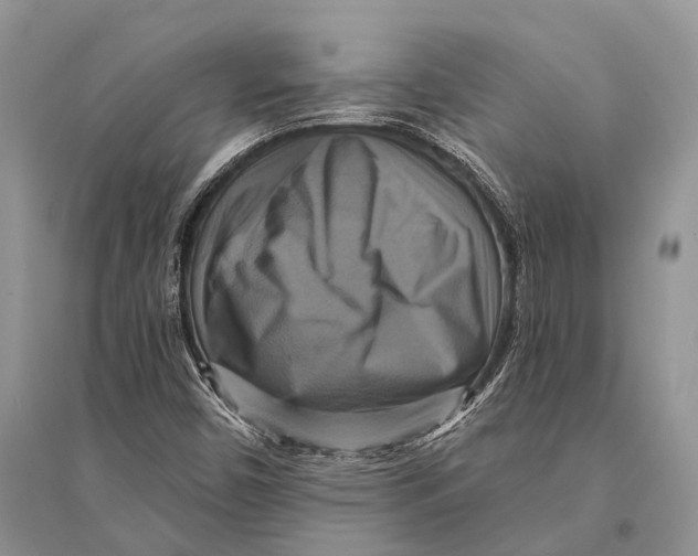 X0000094901450200712201123