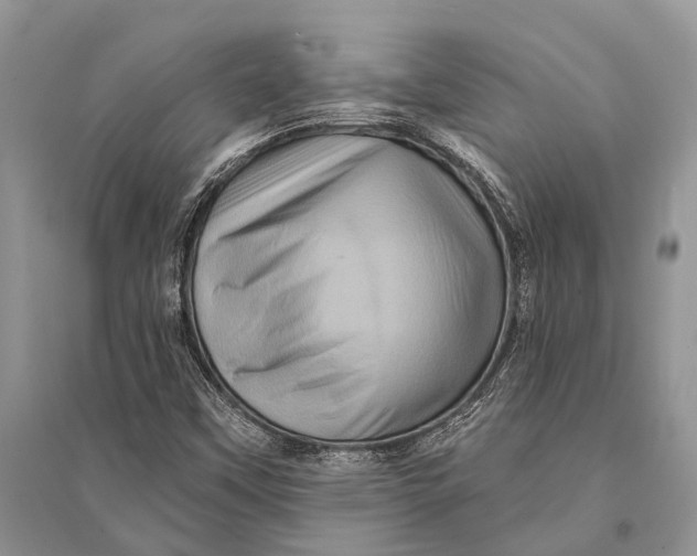 X0000094901451200712201123