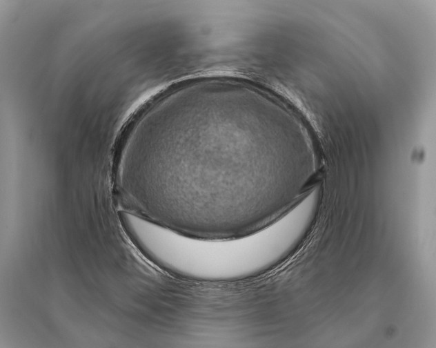 X0000094901452200712201123