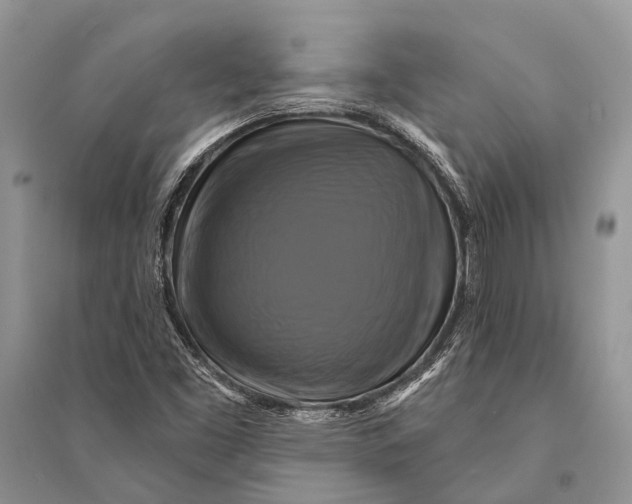 X0000094901453200712201123