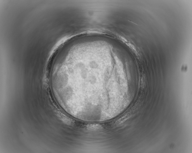 X0000094901454200712201123