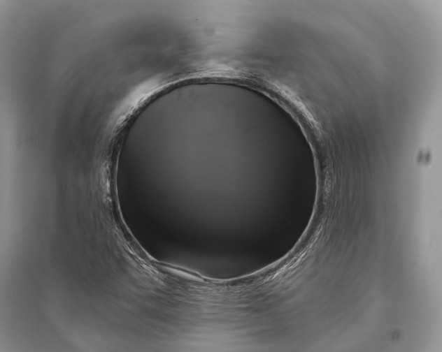 X0000094901455200712201123