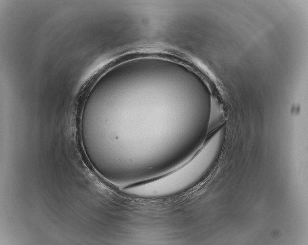 X0000094901456200712201123