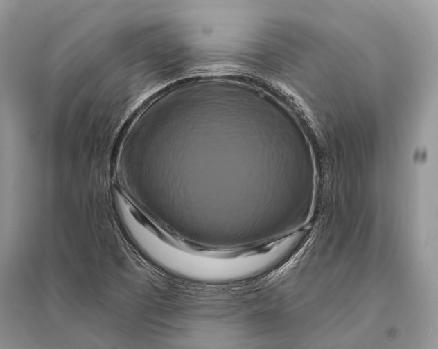 X0000094901457200712201123