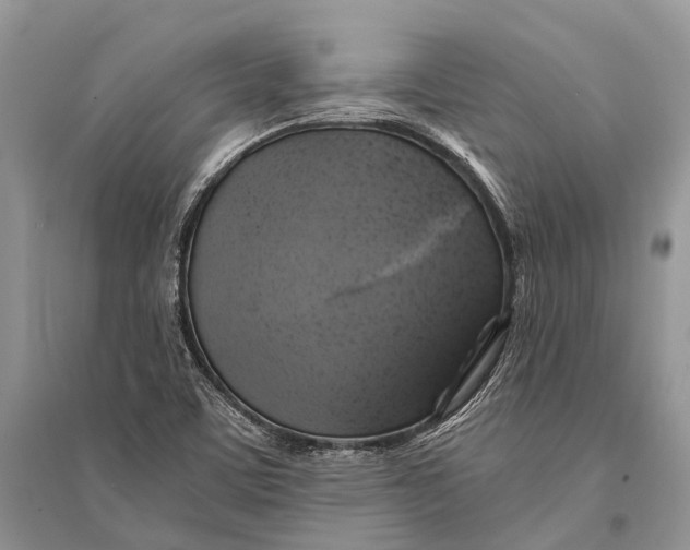 X0000094901459200712201123