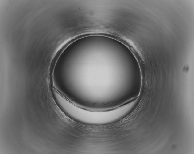 X0000094901460200712201123