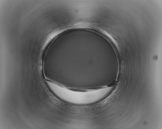 X0000094901461200712201123