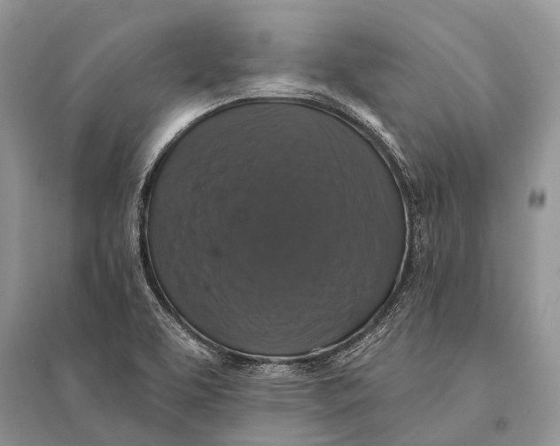 X0000094901463200712201123