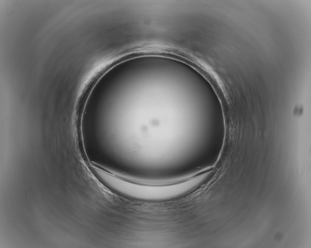 X0000094901464200712201123