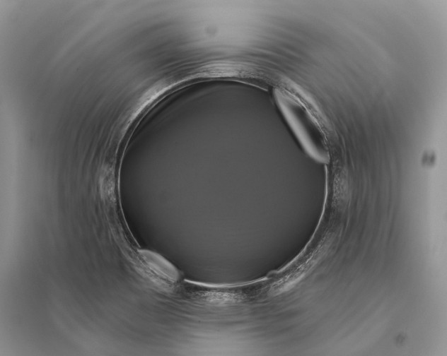 X0000094901465200712201123