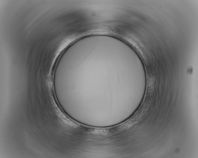 X0000094901466200712201123