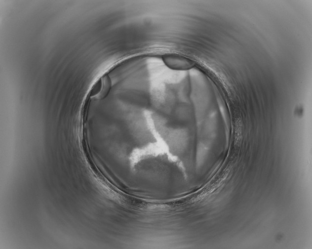 X0000094901467200712201123