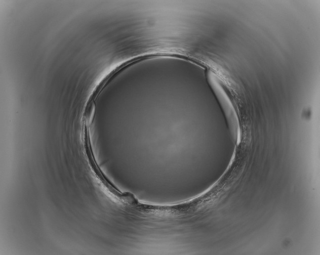 X0000094901468200712201123