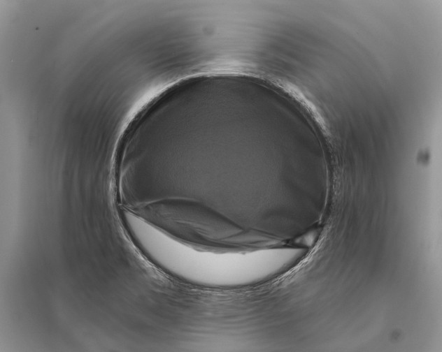 X0000094901469200712201123