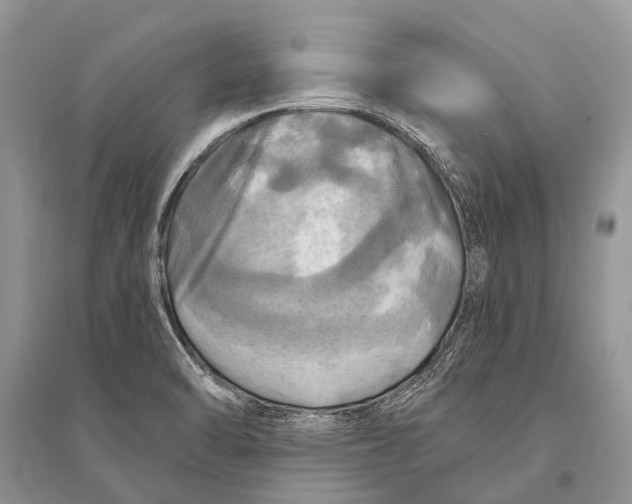 X0000094901470200712201123