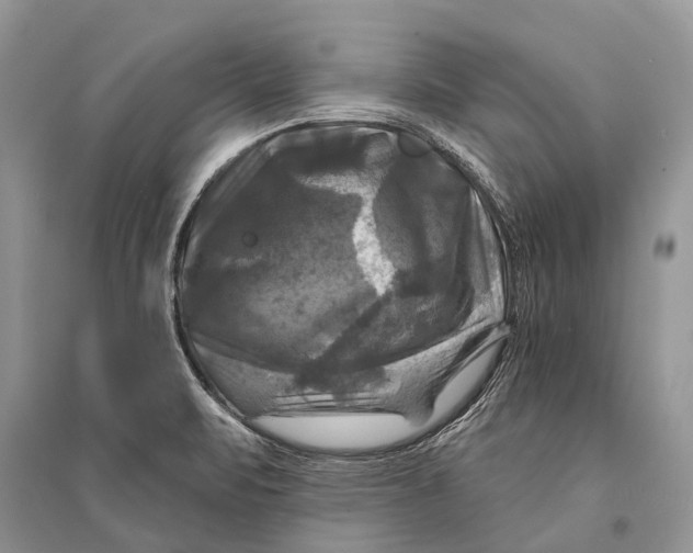 X0000094901471200712201123