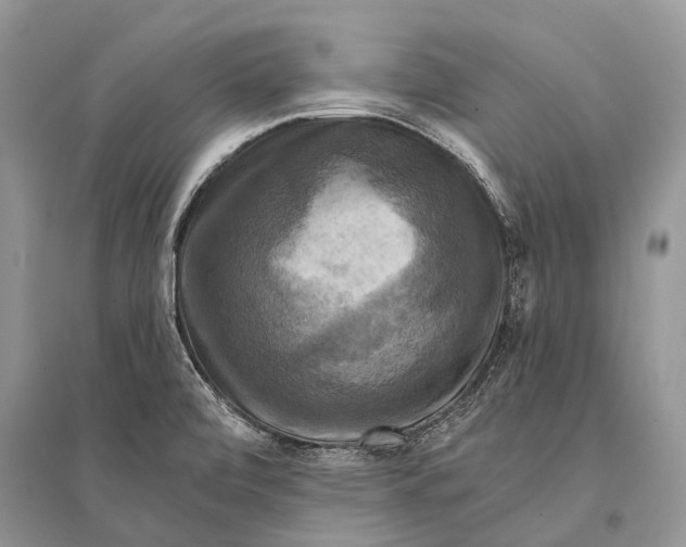 X0000094901472200712201123