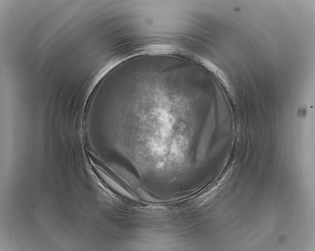 X0000094901473200712201123