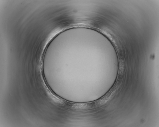 X0000094901474200712201123