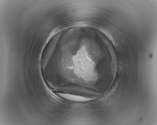 X0000094901475200712201123